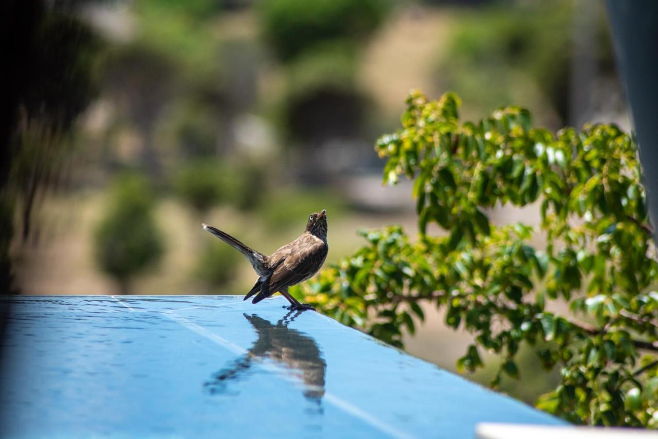 Salines Domaine De Sweet Hill - 4 Villas Et 2 Studios מראה חיצוני תמונה